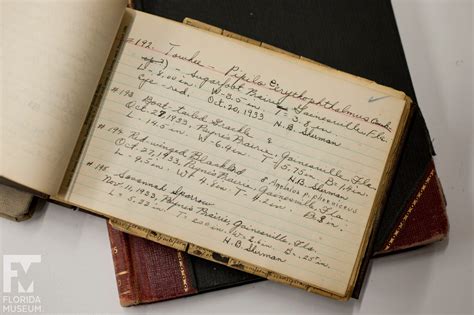 History Of Journal Writing at Josephine Blumberg blog