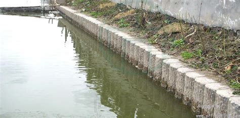 仿木排桩护岸在圩堤加固工程的应用分析--中国期刊网