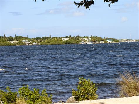 THE SIMMONS SAGA: Chilly Dogs on Cannon Beach, Key Largo, Florida