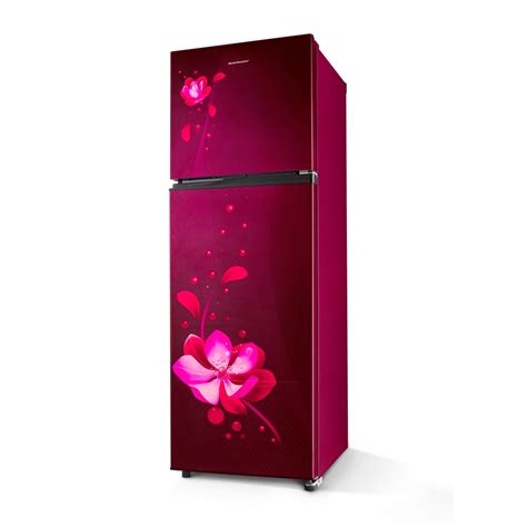 Kelvinator 275 Litre 2 Star Double Door Convertible Refrigerator ...