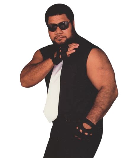 Meng WCW 1994 的图像结果