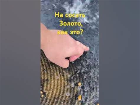 На сосать золото, как это? - YouTube