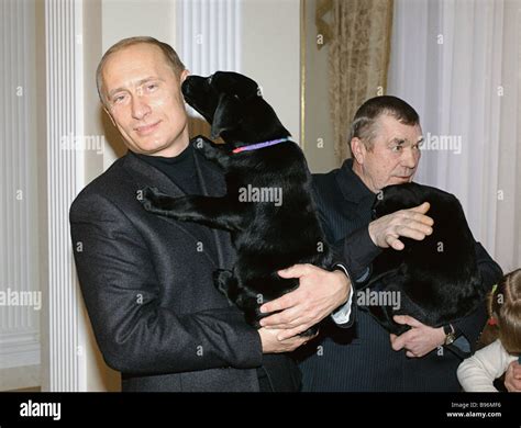 Russian President Vladimir Putin presenting puppies born to his dog Labrador Connie to pensioner ...