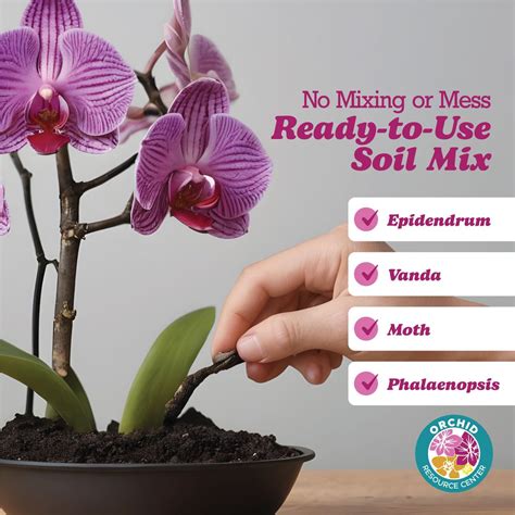 Orchid Soil Mix – Premium Potting Soil