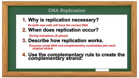 FUnction and Structure of DNA and RNA.pptx
