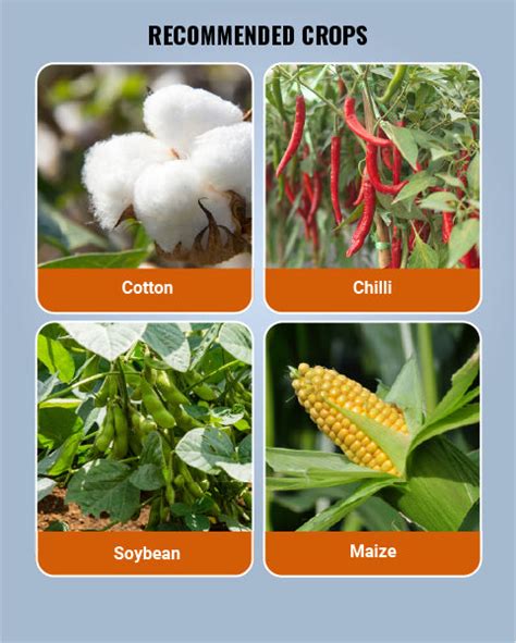 Delegate Insecticide (Spinetoram 11.7% SC) | Buy Online | BigHaat