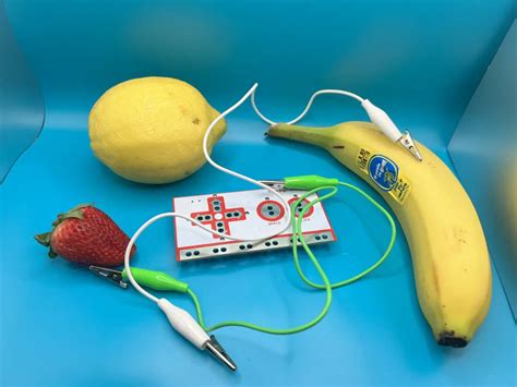 Image result for MaKey MaKey Animal