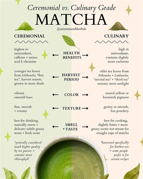 7 benefits of drinking matcha – Artofit