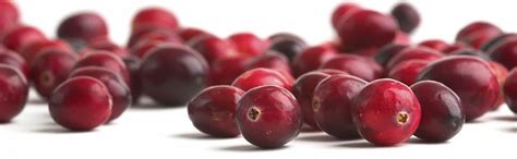 RiTrue - Dried Sliced Cranberry - 250 Gm Jar - Vegan, Non-GMO, Gluten ...