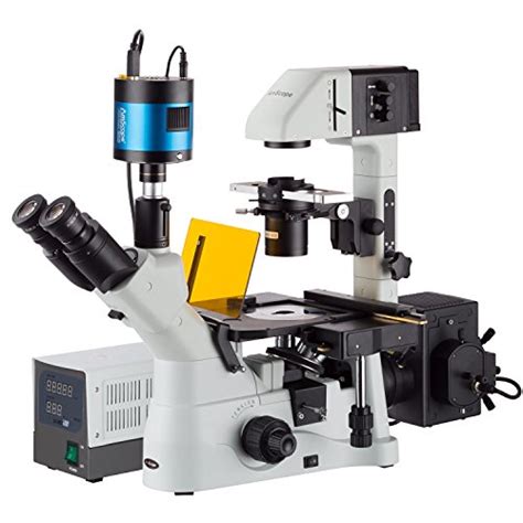 Fluorescence Microscope 的图像结果
