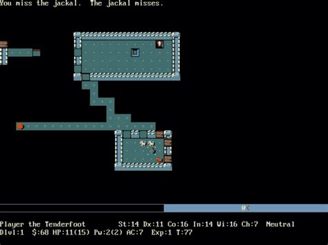 Image result for Playing NetHack