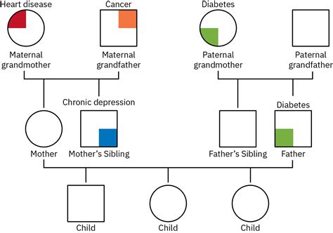 28.4: Conducting a Family Nursing Assessment - Medicine LibreTexts