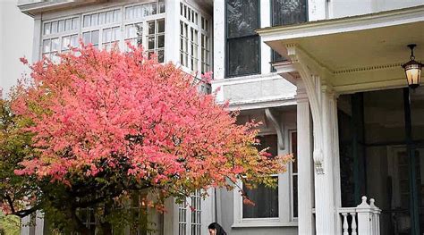 ALEXANDER MANSION BED & BREAKFAST (Winona) - B&B Reviews, Photos, Rate ...