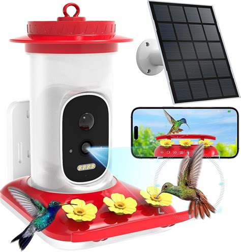 Amazon.com : Hummingbird Feeder with Camera Solar Powered, 2.5K AI Bird ...