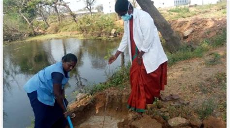 புதுக்கோட்டை அரசு மருத்துக் கல்லூரி டூ பசுஞ்சோலை: 3,500 மரக்கன்றுகளுடன் ...