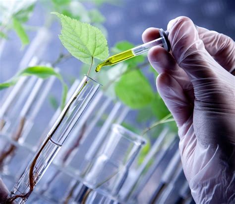 Biotech 的图像结果