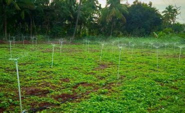 Greenathon: Treasure Hunt at GTP-KOL - Self4Society