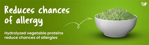 Buy WIGGLES Barkstix Dog Treats for Training Adult Puppies, 100g - Soft ...