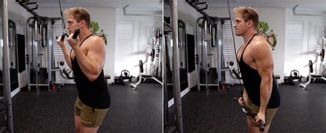 How To: Cable Triceps Pushdown | Muscular Strength