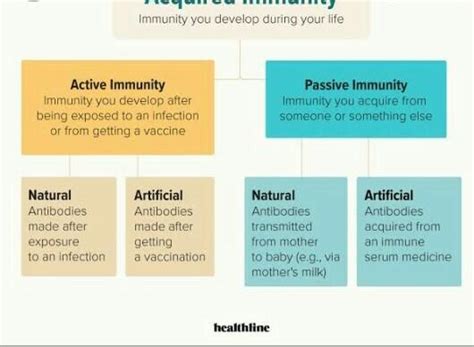 In what two ways acquired immunity can be developed in a child after ...