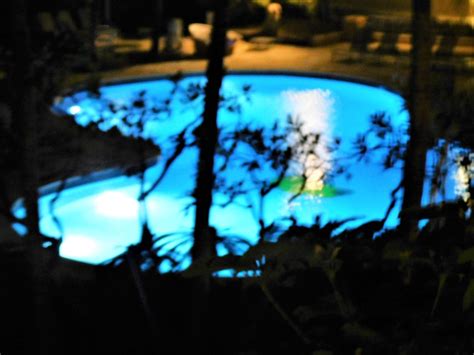 Image result for Swimming Pool Light Installation