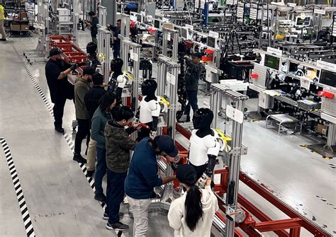 Tesla Optimus units line up in Fremont's pilot production line