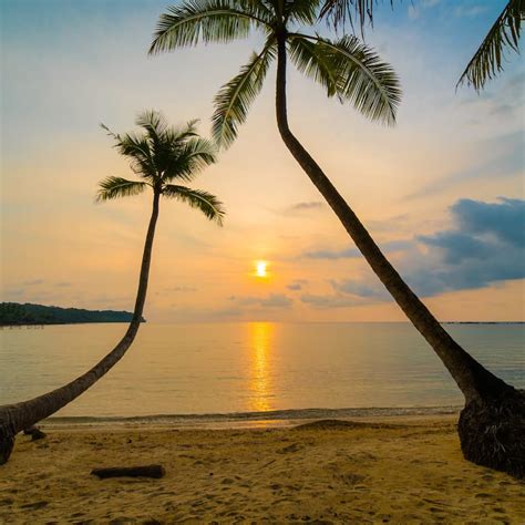 New In Town: Must Do Tourism, Stays And Gourmet Delights | LBB, Goa