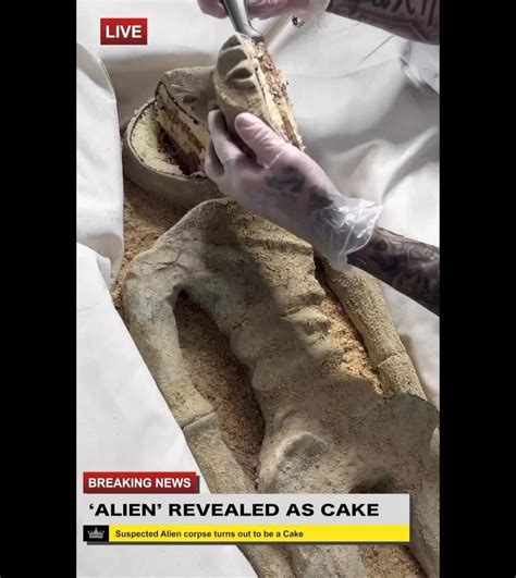 Image result for Alien Cake