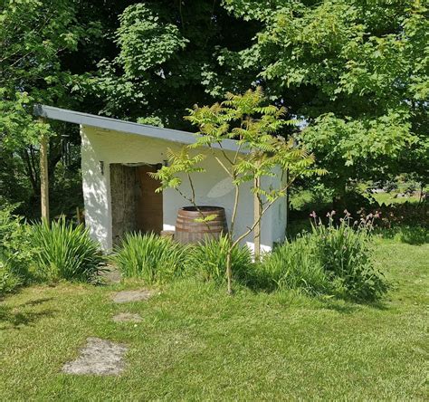 WILD WELLNESS MAYO | AMATSU THERAPY MAYO (2026) All You Need to Know ...