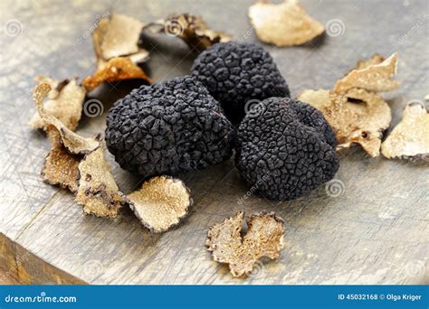 Expensive Rare Black Truffle Mushroom Stock Photo - Image of edible, flavor: 45032168