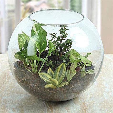 Have a Brighter Diwali with the Trendiest Gifts: 18 Diwali Gift Ideas ...