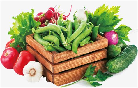 绿色蔬菜有机蔬菜摄影图__蔬菜_生物世界_摄影图库_昵图网nipic.com