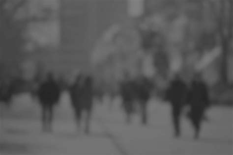 Sierra At Fall Creek