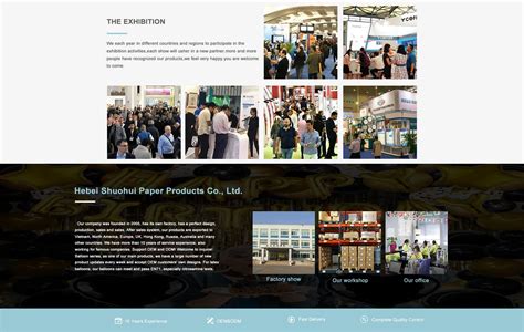 Company Overview - Baoding Shuohui paper products Co., LTD