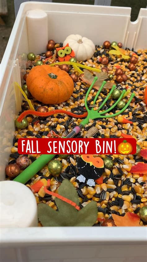 35 fantastic fall sensory bins for kids – Artofit