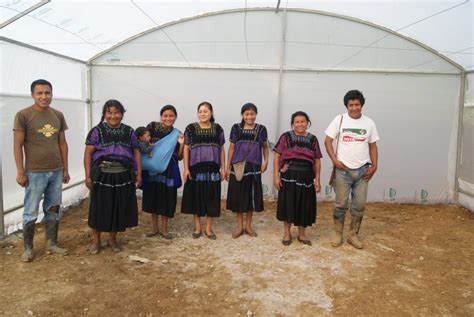 Producción orgánica - Union Majomut