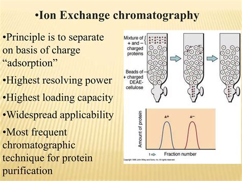 Image result for Protein Separation Process