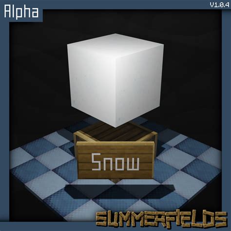 Image result for Snow Block IRL