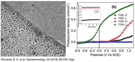 GaN/TiO2 heterostructure based anode for photoelectrochemical reactions ...