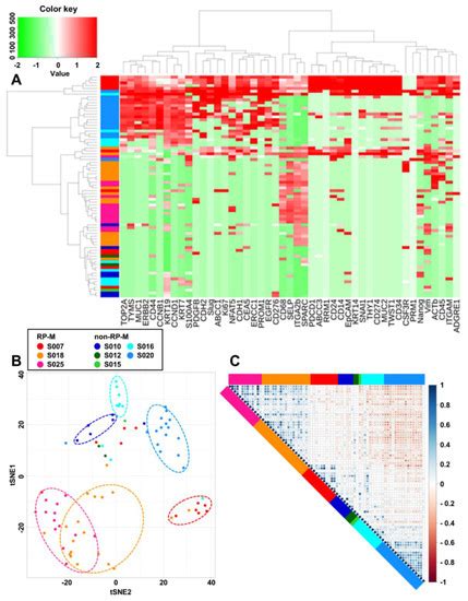 Circulating Tumor Cell Clusters Are Cloaked with Platelets and ...