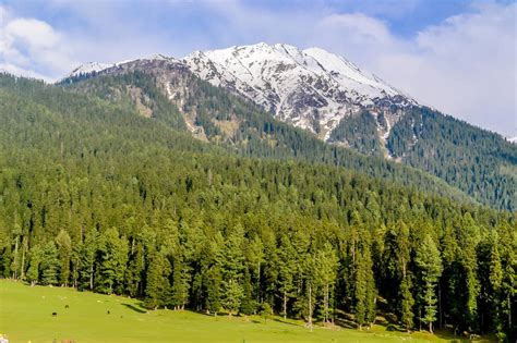 18 Places to Visit in Kashmir in May: Ultimate Kashmir Guide