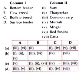 Match column I with column II and select the correct option from the ...
