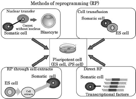 Image result for Installing Computer Reprogramming