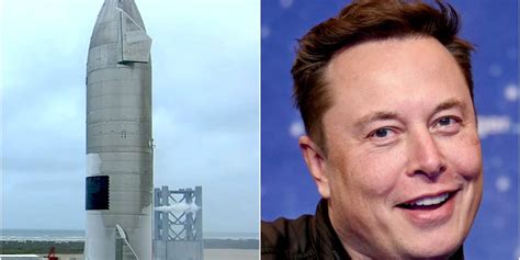 Spaceship 的图像结果