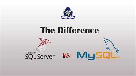 Database Index 的图像结果