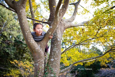 Climb That Tree 的图像结果
