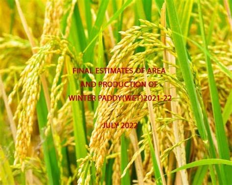 Kerala State Economics And Statistics Department