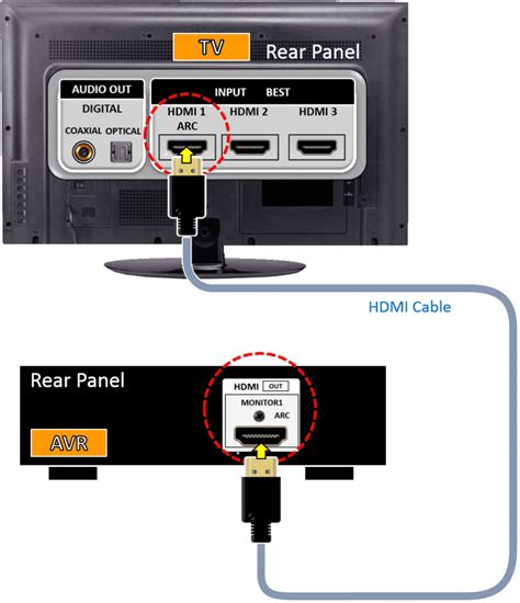 Image result for Cable Leg Extensions Exercise