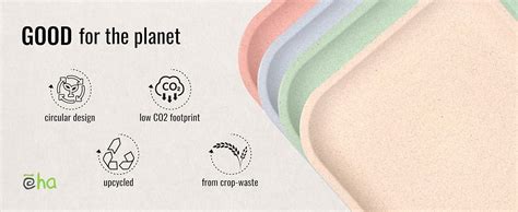 Buy Eha Set of 4 Earth-Friendly Snack Plate | 8 inch |Snacks Serving ...