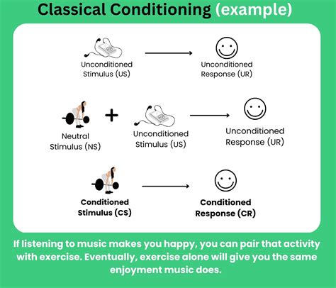 Image result for Classical Conditioning Learning